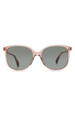 TOMS Sandela 55mm Tinted Round Sunglasses in Eco Mauve Crystal/Green Grey