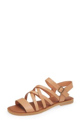 TOMS Sephina Strappy Sandal in Brown