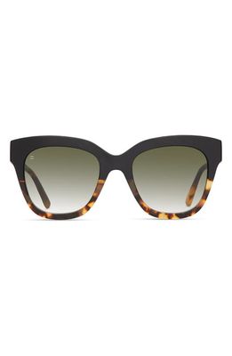 TOMS Sloane 53mm Cat Eye Sunglasses in Black Tort/olive Gradient