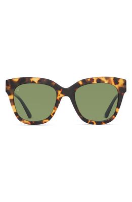 TOMS Sloane 53mm Polarized Cat Eye Sunglasses in Tortoise/Bottle Green Polar