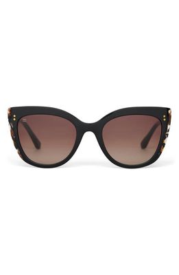 TOMS Sophia 53mm Cat Eye Sunglasses in Honey Multi/Brown Gradient