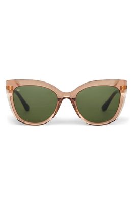 TOMS Sophia 53mm Cat Eye Sunglasses in Rust Crystal/Bottle Green