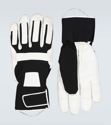 Toni Sailer Dane ski gloves