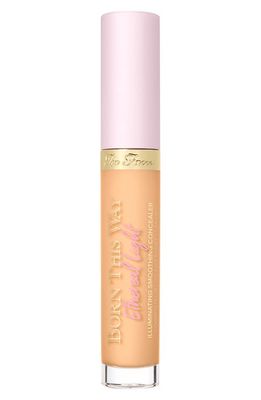 Too Faced Born This Way Ethereal Light Concealer in Biscotti