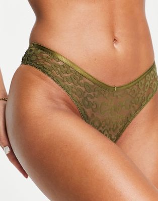 Topshop animal lace briefs in khaki-Pink
