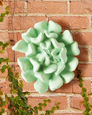 Topsy-Turvy Succulent Wall Art, Jade