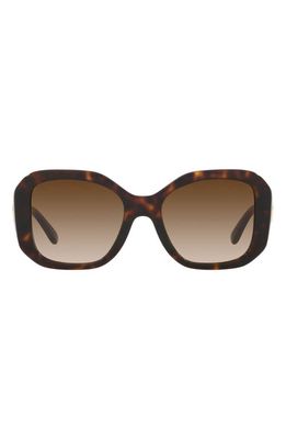 Tory Burch 52mm Gradient Butterfly Sunglasses in Dk Tort
