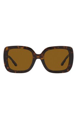 Tory Burch 54mm Polarized Square Sunglasses in Dk Tort