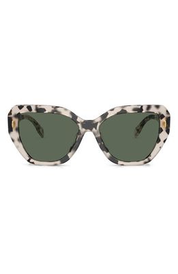 Tory Burch 55mm Cat Eye Sunglasses in Tortoise