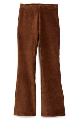 Tractr Pull-On Flare Corduroy Pants in Brown