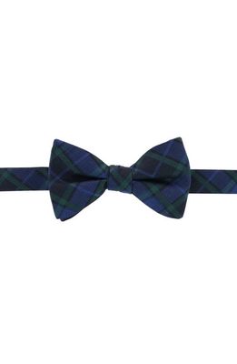 Trafalgar Ives Plaid Silk Bow Tie in Green