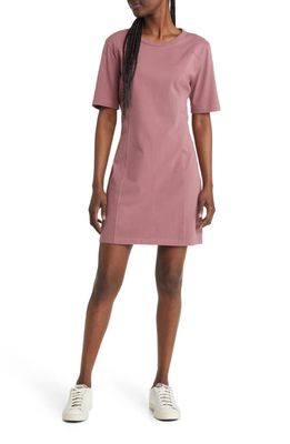 Treasure & Bond Seamed Organic Cotton T-Shirt Dress in Brown Rose