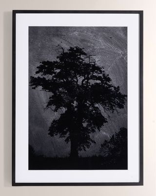 "Tree Gaze II" Art Print