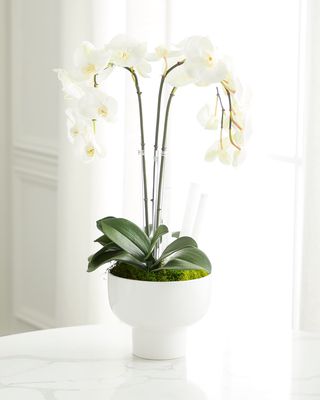 Triple Orchid Faux Florals in White Ceramic Pot with Selenite - 23"