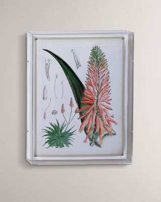 Tropicals I Giclee