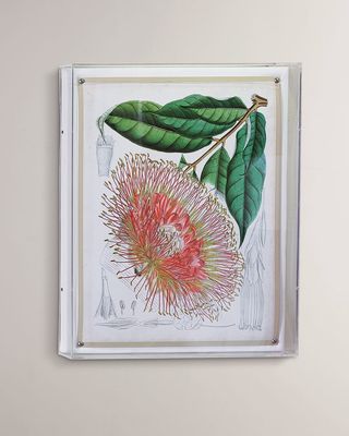 Tropicals IV Giclee
