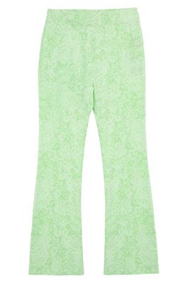 Truce Kids' Print Flare Stretch Cotton Pants in Light Green
