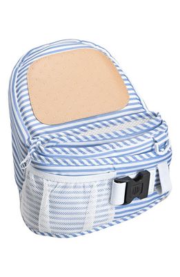Tushbaby Hip Seat Carrier in Blue Stripe