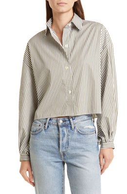 TWP Rendezvous Stripe Button-Up Crop Blouse in Dark Olive Multi