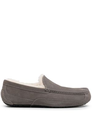 UGG Ascot suede slippers - Grey