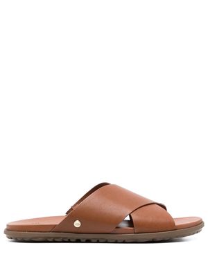 UGG crossover leather mules - Brown