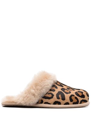 UGG Scuffette II Leopard print slippers - Neutrals