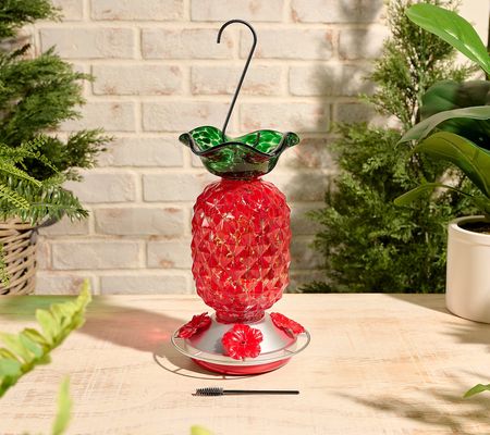 Ultimate Innovations Glass Hummingbird Feeder w/ Moat