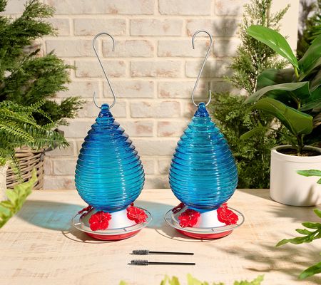 Ultimate Innovations S/2 Glass Hummingbird Feeders