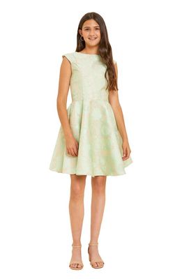 Un Deux Trois Kids' Cap Sleeve Jacquard A-Line Dress in Mint
