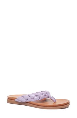 Unity in Diversity Diona Flip Flop in Violet 