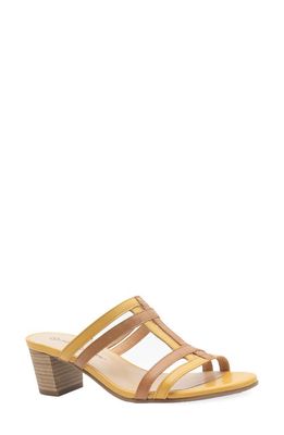 Unity in Diversity Honey Slide Sandal in Honey Bear 