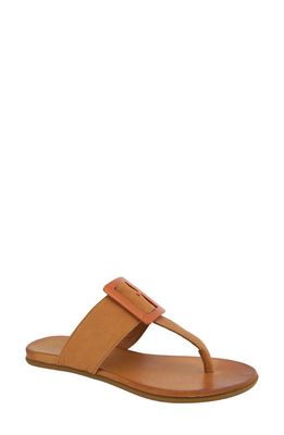 Unity in Diversity Leather Sandal in Cuoio