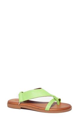 Unity in Diversity Teresa 24 Slingback Sandal in Fistik 