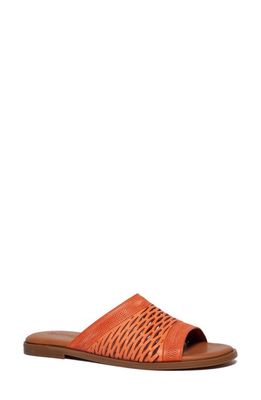 Unity in Diversity Teresa Slide Sandal in Peach 