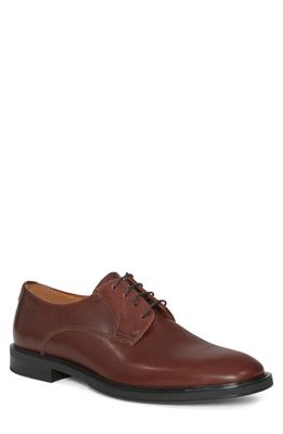 Vagabond Shoemakers Andrew Derby in Chestnut
