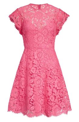 Valentino Garavani Valentino Floral Lace Fit & Flare Minidress in Eclectic Pink