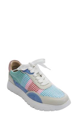 VANELi Qubi Sneaker in Blue Bright Multi