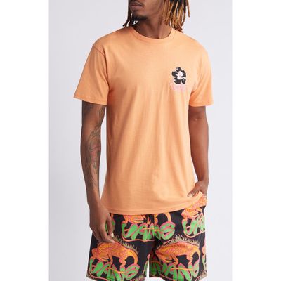 Vans All Day Cotton Graphic T-Shirt in Copper Tan