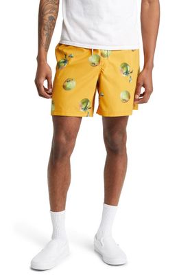 Vans Primary Fruits & Friends Swim Trunks in Narcissus