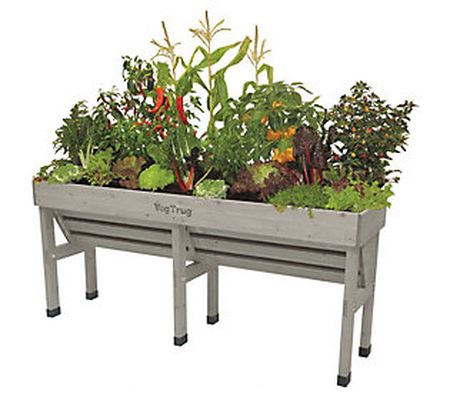 VegTrug Medium Wallhugger Raised Bed Planter