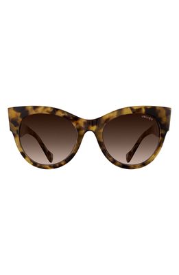Velvet Eyewear Chelsea 55mm Gradient Cat Eye Sunglasses in Light Tortoise