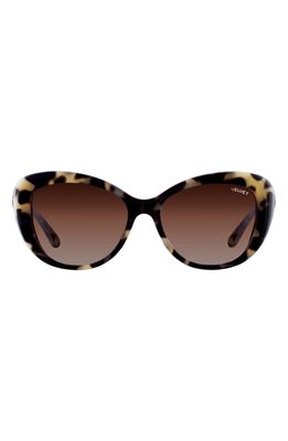 Velvet Eyewear Chrystie 55mm Cat Eye Sunglasses in Grey Tortoise