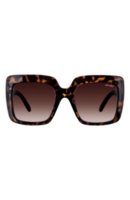 Velvet Eyewear Gina 57mm Square Sunglasses in Tortoise