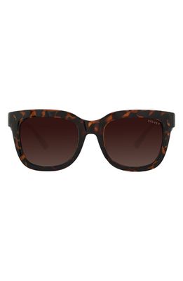 Velvet Eyewear Gracie 56mm Gradient Round Sunglasses in Tortoise