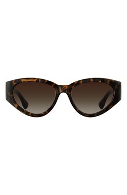 Velvet Eyewear Rosa 52mm Cat Eye Sunglasses in Tortoise