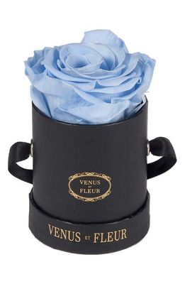 Venus ET Fleur Classic Le Mini™ Round Eternity Rose in Baby Blue