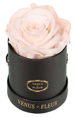 Venus ET Fleur Classic Le Mini Round Eternity Rose in Blush