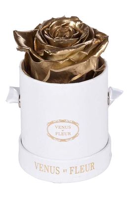 Venus ET Fleur Classic Le Mini™ Round Eternity Rose in Gold