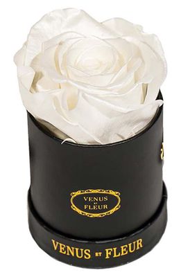 Venus ET Fleur Classic Le Mini Round Eternity Rose in Pearl Sheen