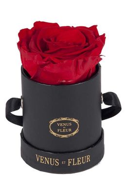 Venus ET Fleur Classic Le Mini Round Eternity Rose in Red